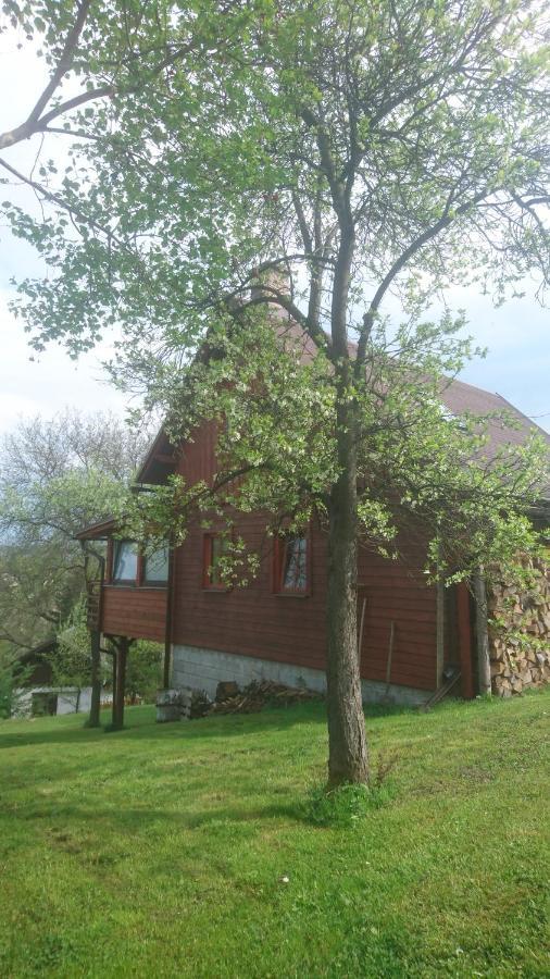 Chata S Bazenem Bozkov Villa Bozkovska Exterior photo